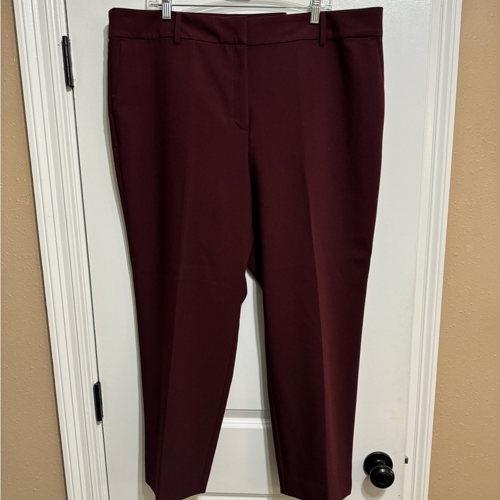 Ann Taylor Factory The Ankle Curvy Fit